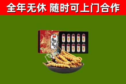 江达县回收冬虫夏草价格